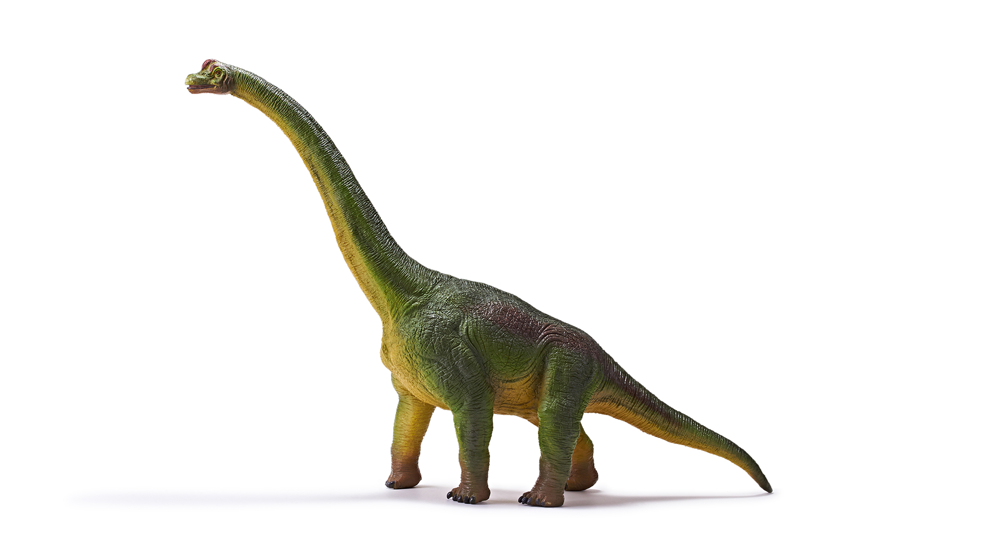 Large size dinosaur toy Brachiosaurus model