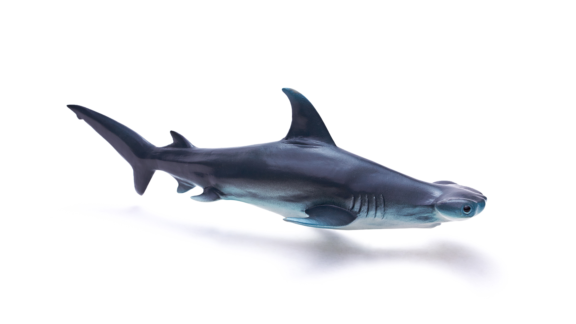 Ocean Animal Toys - Hammerhead Shark Toy