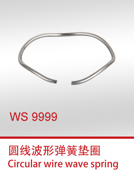 WS 9999 圆线波形-