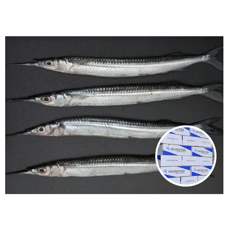 Wholesale-No-Boiled-Needle-Fish