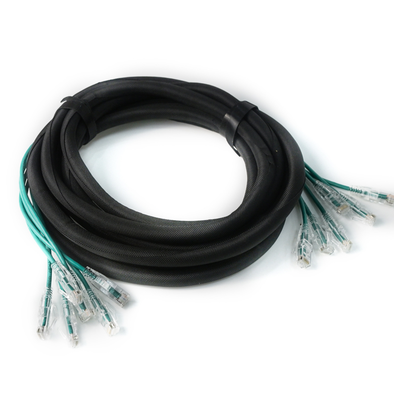 Trunk Bundle network cable 