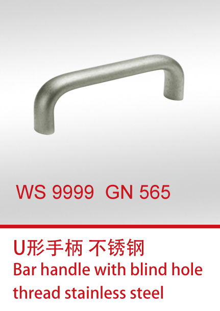 WS 9999  GN 565