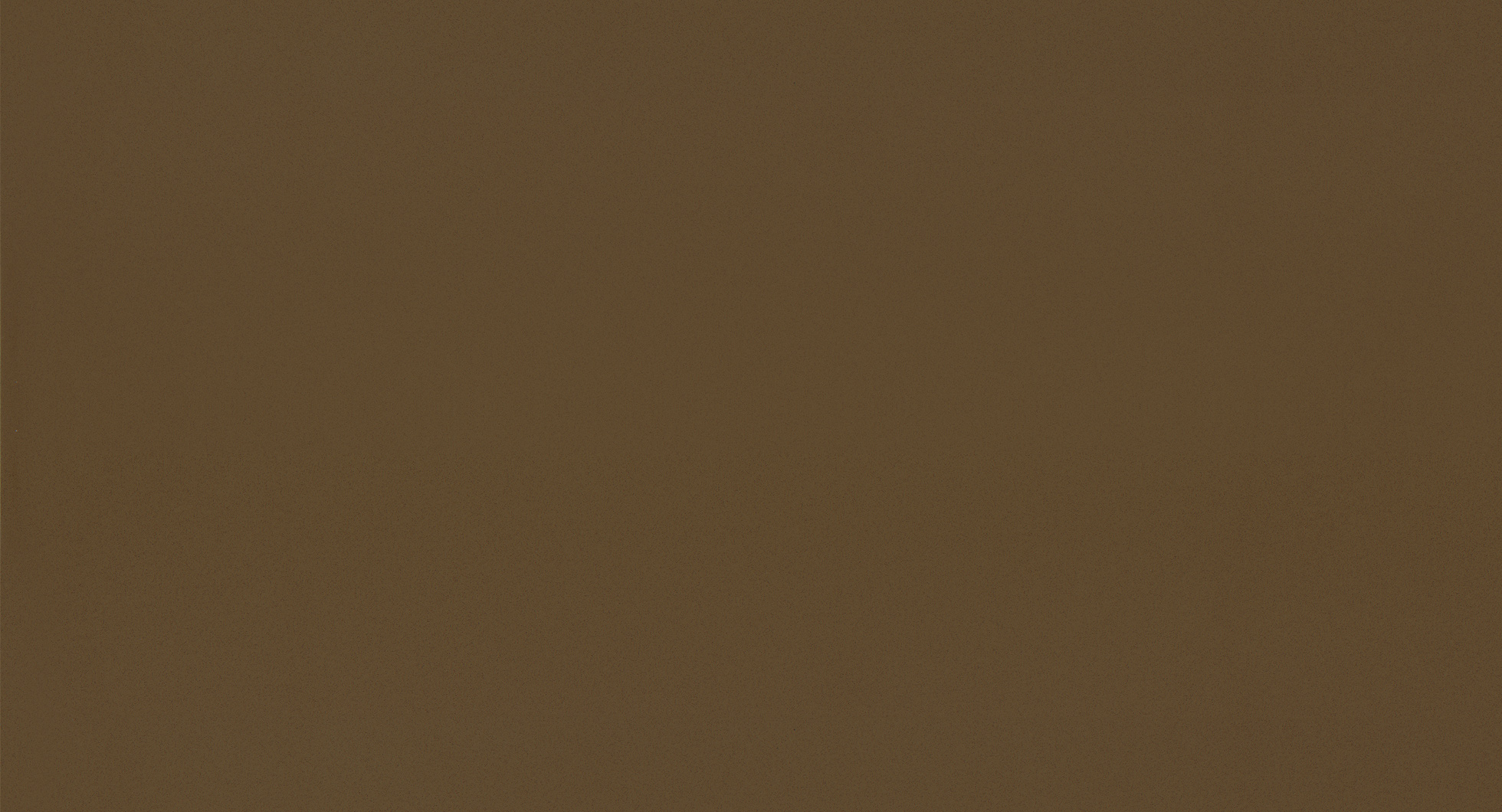 WG032 纯棕色