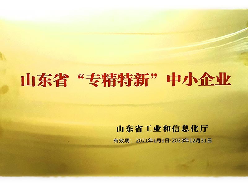 Shandong Province Specialized and Special New Enterprise