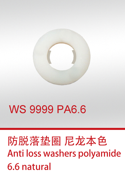 WS 9999 PA6.6