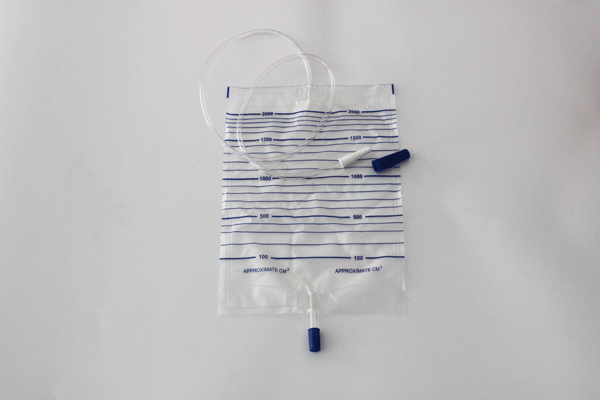 Disposable urine bag with pull-push valve