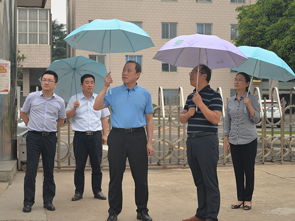 Li Guohui, Director of Drug Safety of Henan Provincial Market Supervision Administration, and his delegation visited Topfond Pharmaceutical for research and guidance