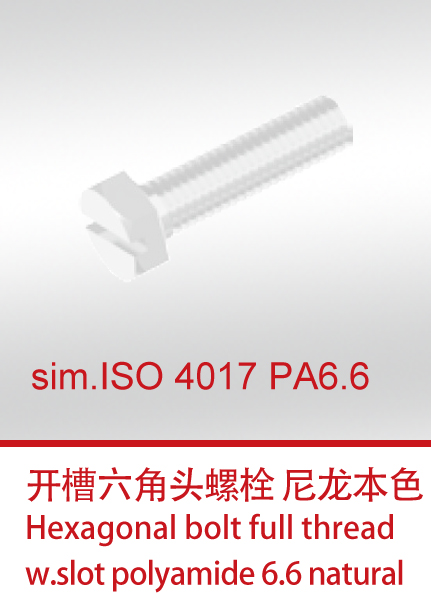 sim.ISO 4017 PA6.6