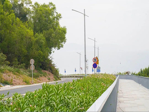 深圳环大鹏湾海岸公路造型灯杆改造项目