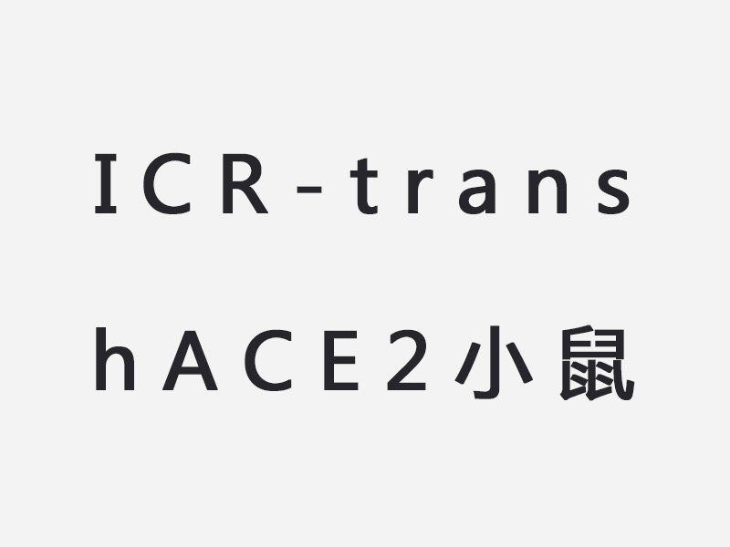 ICR-trans hACE2小鼠