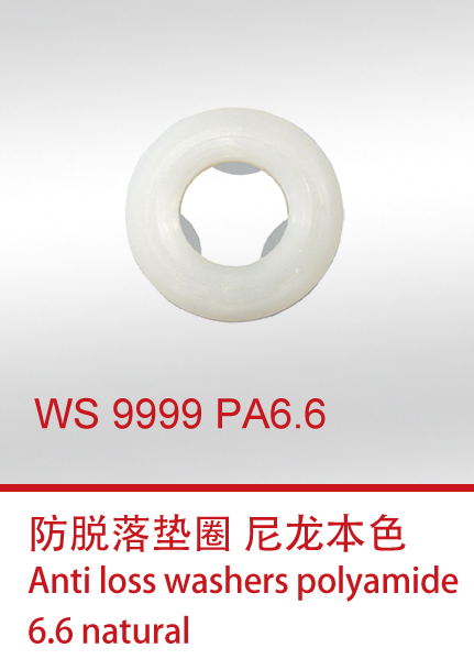 WS 9999 PA6.6-