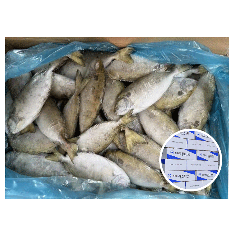 Rabbit-Fish-For-Singapore-Importer