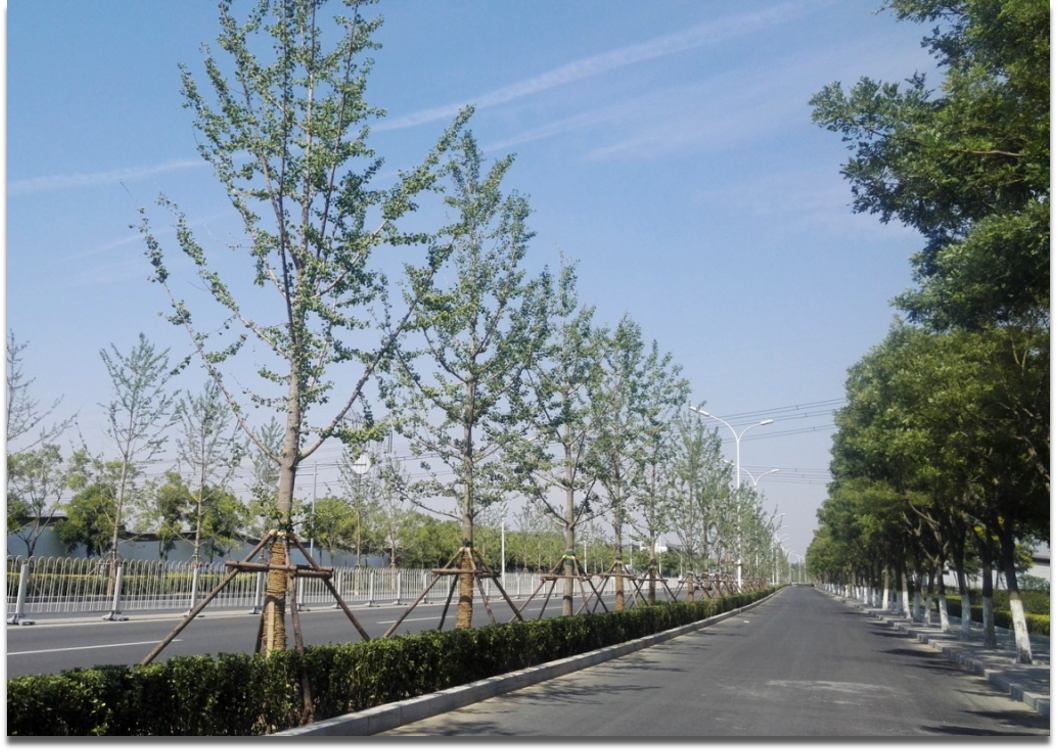 京榆旧线绿化景观提升工程
