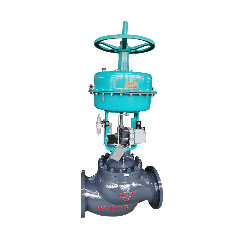 MD cage control valve