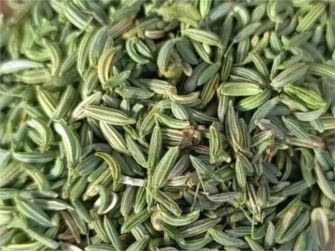 Chinese Fennel Seeds
