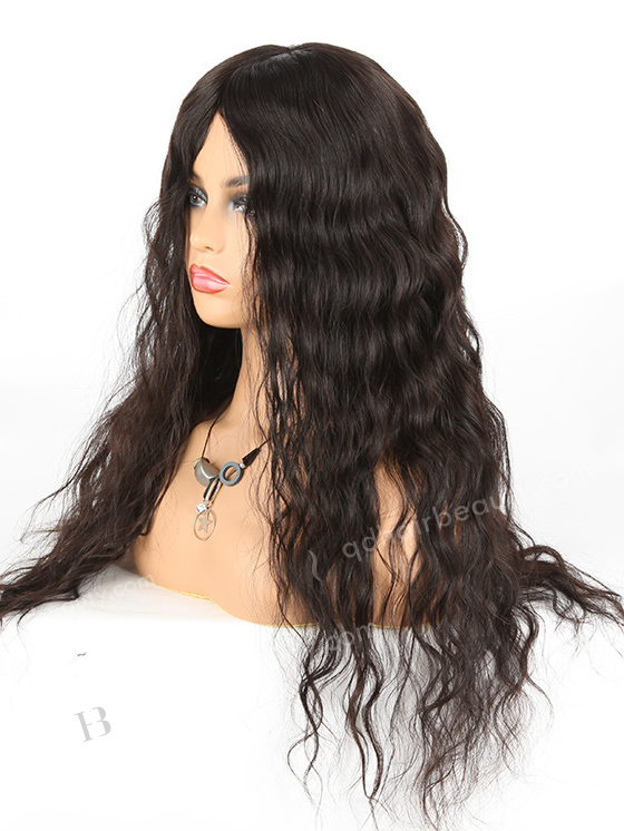 In Stock Malaysian Virgin Hair 22" Natural Straight Natural Color Silk Top Glueless Wig GL-03044