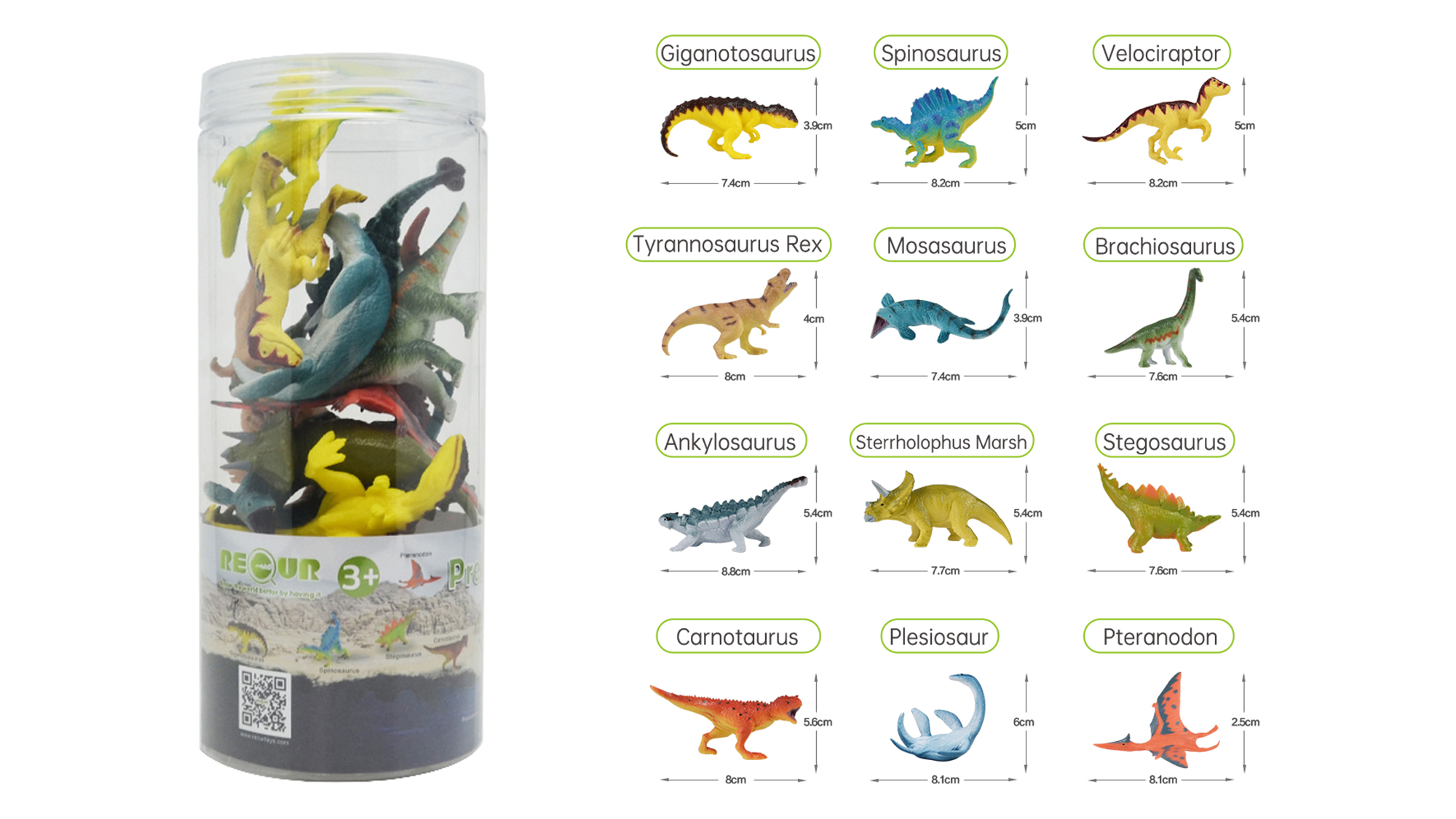 Dinosaur toys｜Assorted prehistoric animals playset 12pcs