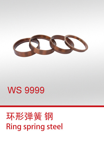 WS 9999 环形弹簧
