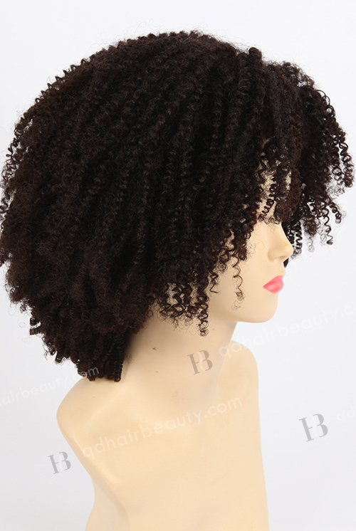 Afro Curl African American Wigs WR-GL-029