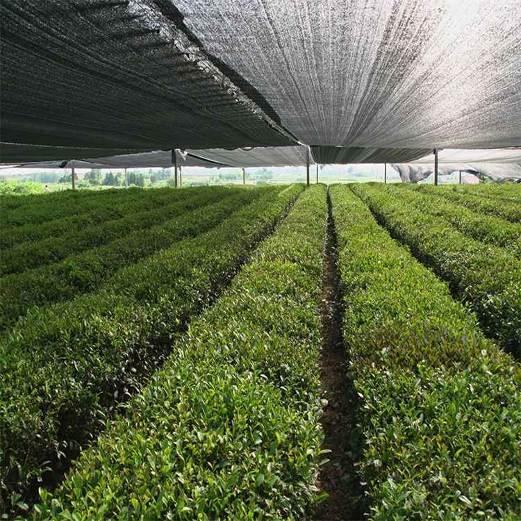 Choosing the Right Agricultural Sun Shade Net for Your Farm