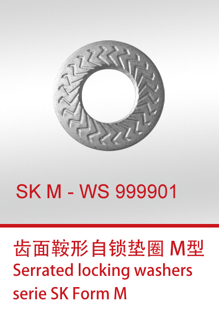 SKM-WS999901+