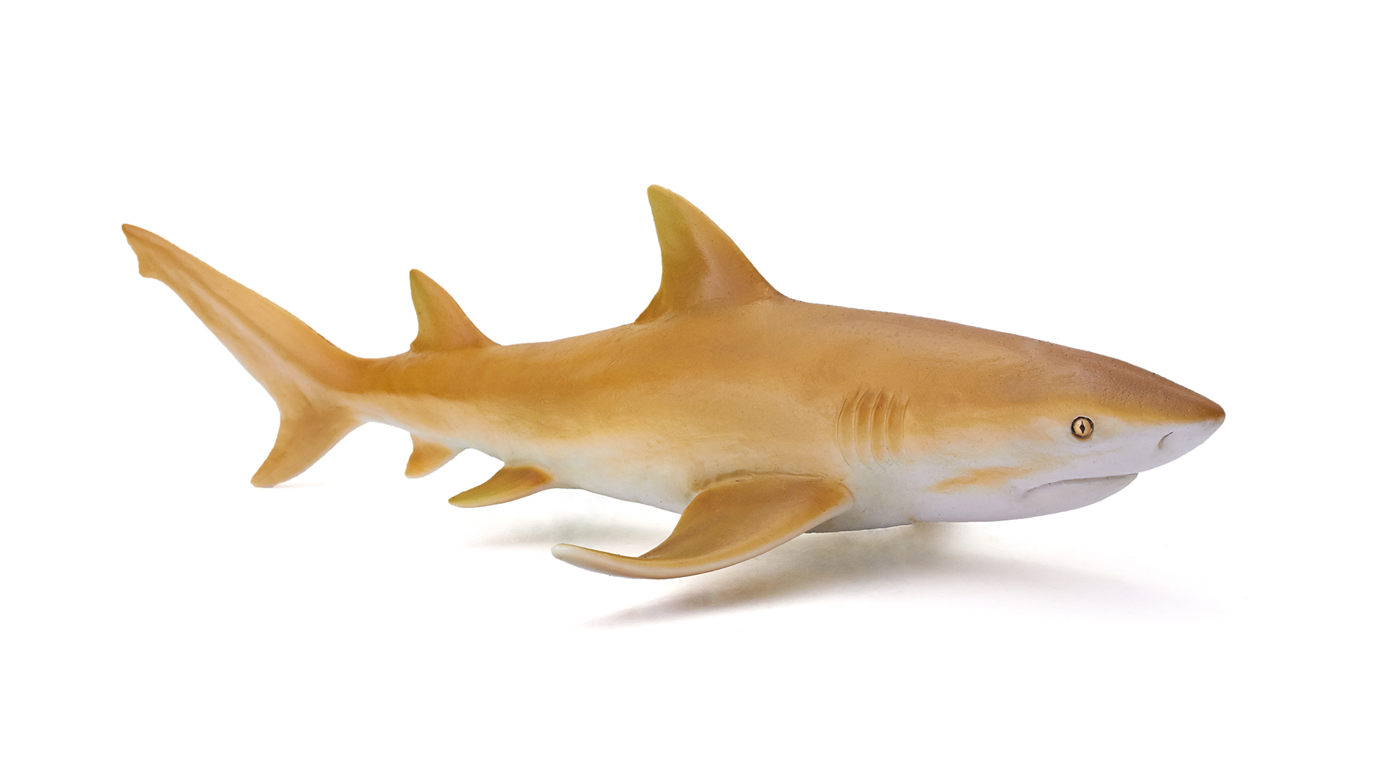 Ocean Animal Figure - Lemon Shark Toy｜Negaprion queenslandicus