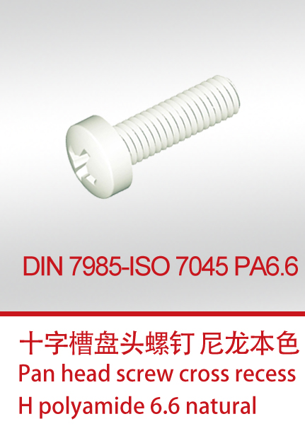 DIN 7985-ISO 7045 PA6.6