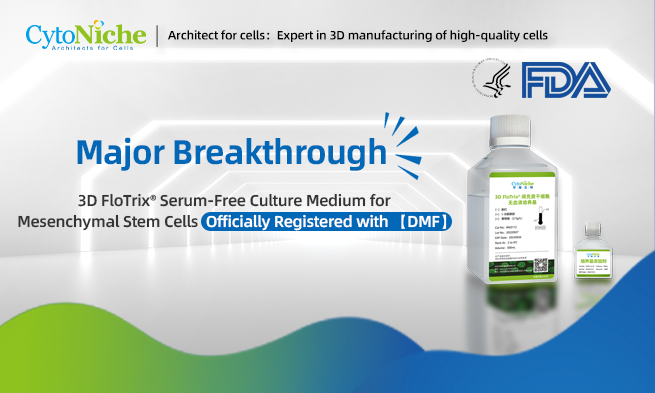 Major Breakthrough: 3D FloTrix® Serum-Free Culture Medium for Mesenchymal Stem Cells Officially Registered with 【DMF】
