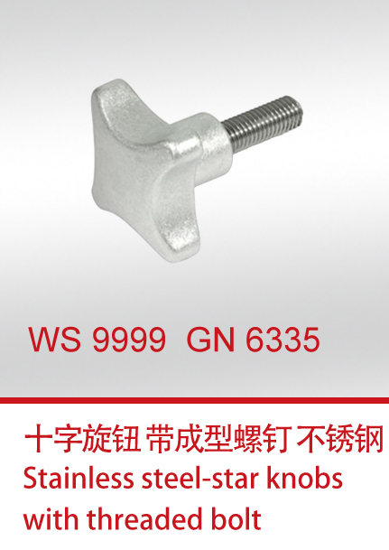 WS 9999  GN 6335 带成型螺钉