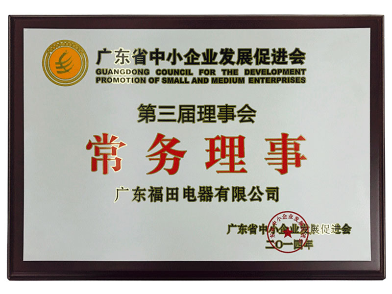 Standing Director of the Third Council of Guangdong Association for the Promotion of Small and Medium-sized Enterprises