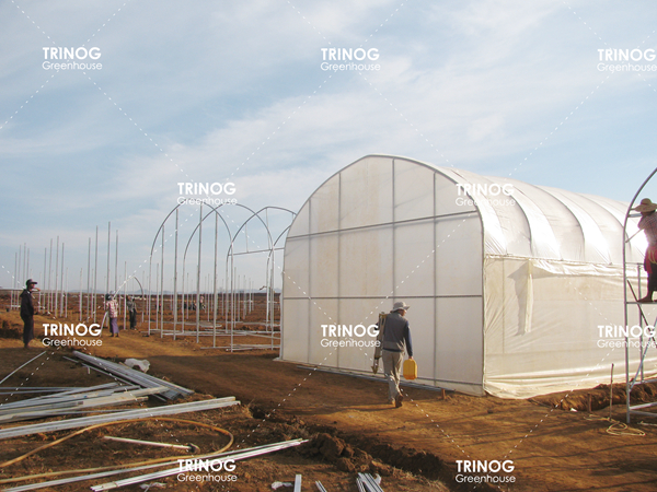 Invernadero de túnel de luz de cultivo de plantas de Myanmar