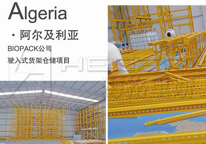 Algeria BIOPACK Group Storage Project
