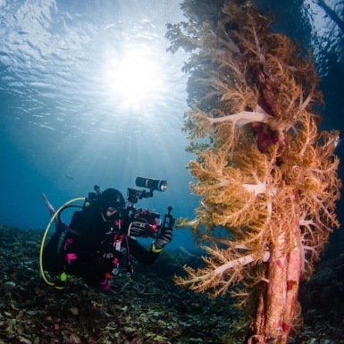 How To Select A Proper Dive Light