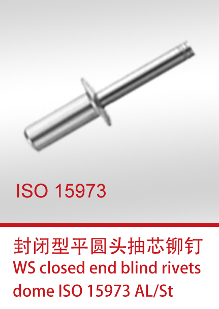 ISO 15973-