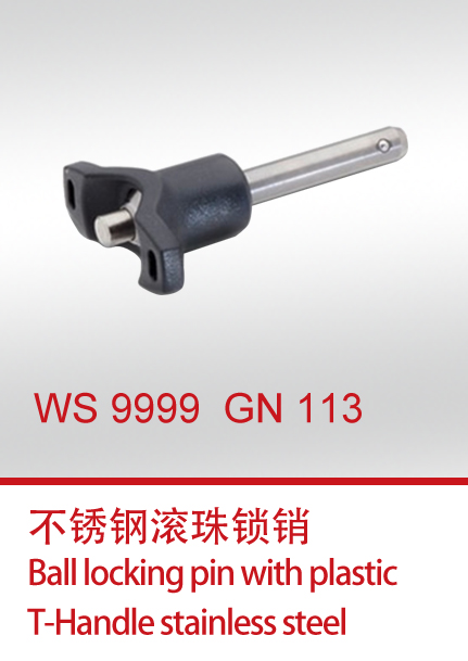 WS 9999  GN 113