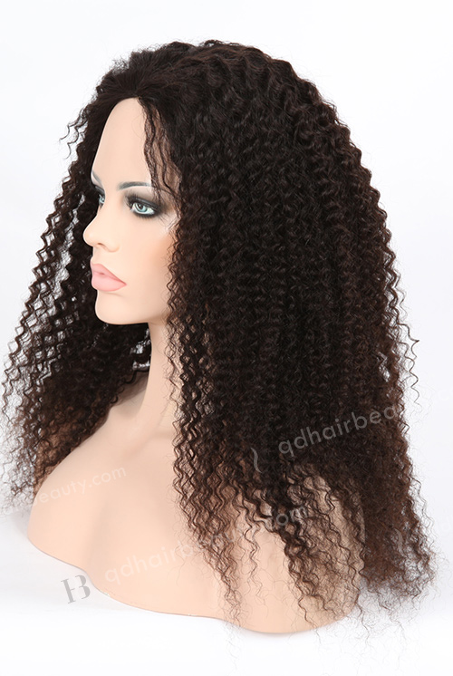 Kinky Curly Wig for Black Women WR-GL-030