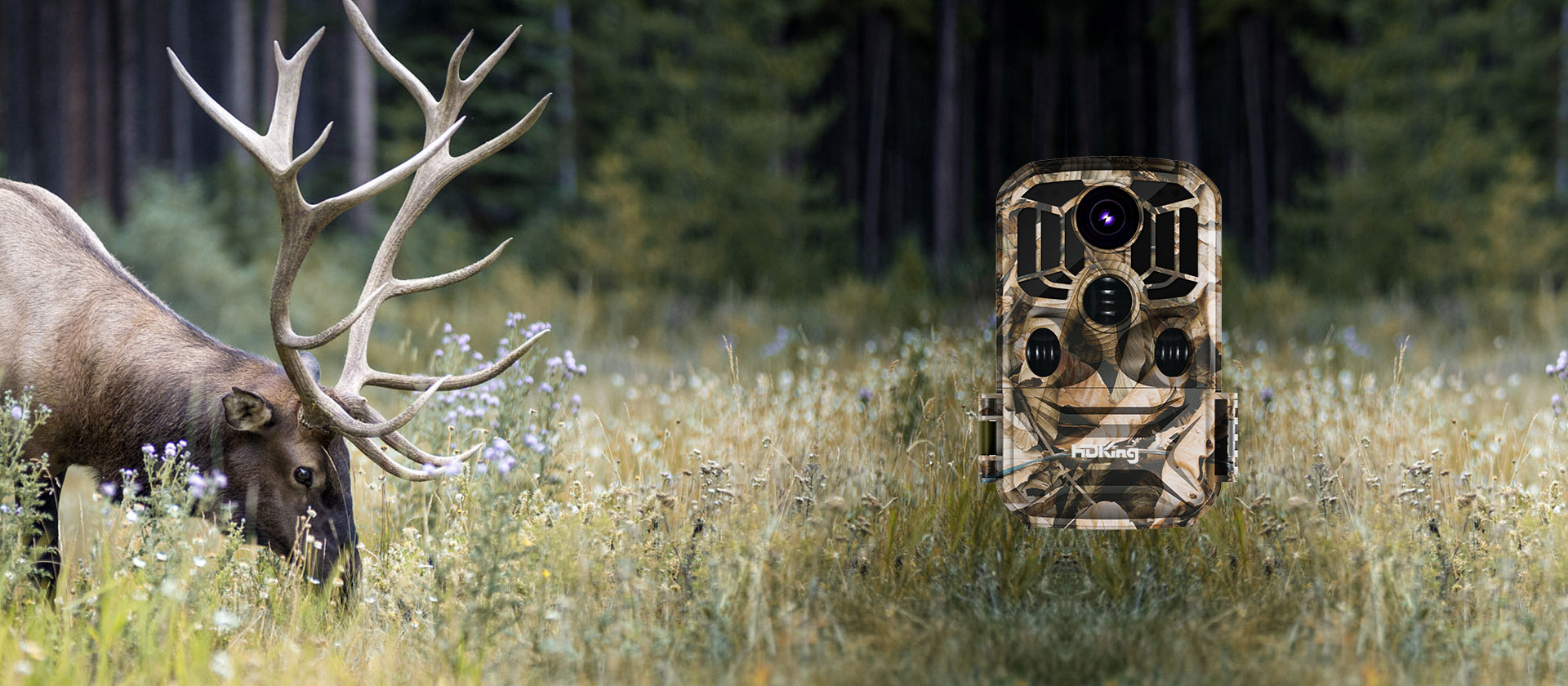 Hunting camera<br> NDL-601 