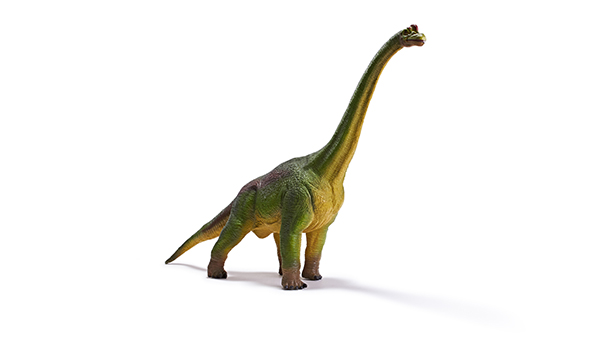 恐龙玩具-大腕龙