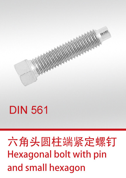 DIN 561