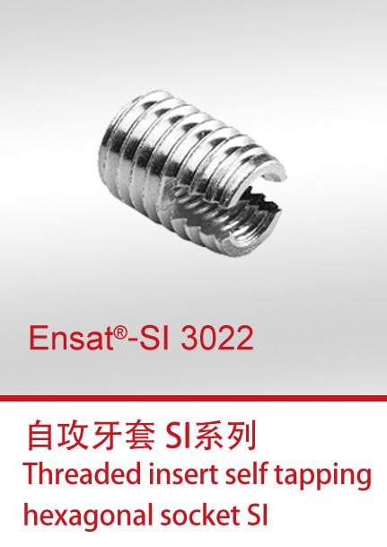 Ensat®-SI 3022