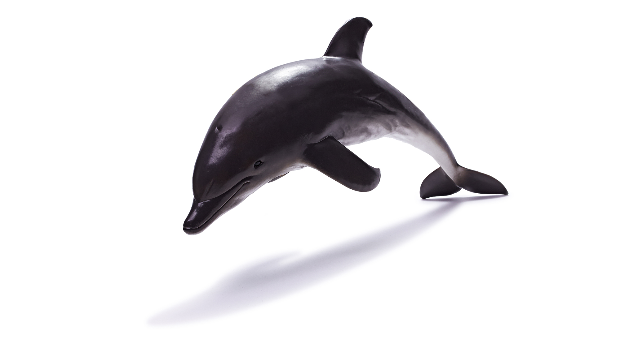 Marine Animal Toy - Delphinidaev Toy Model (Dolphin)