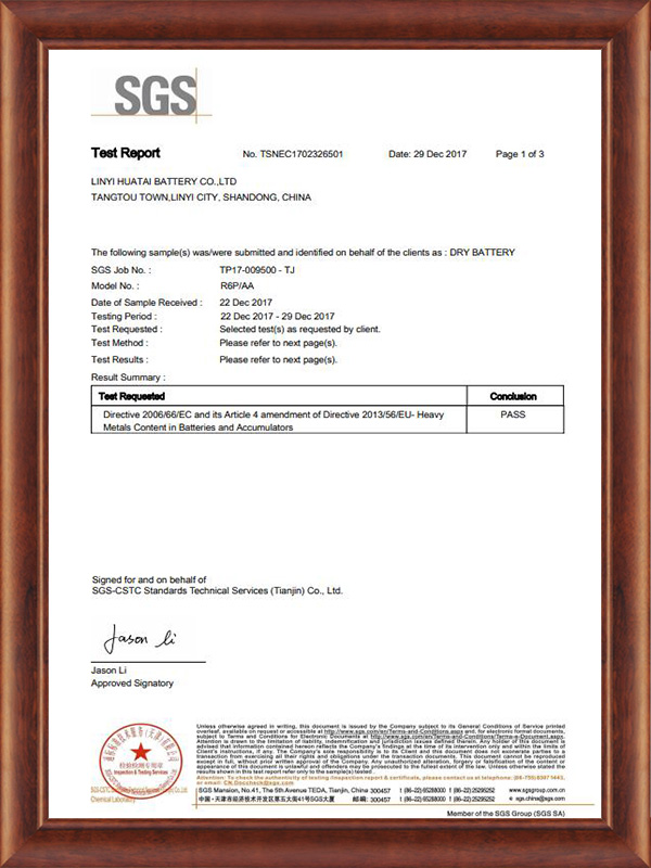 SGS R6P 2019 Certificate