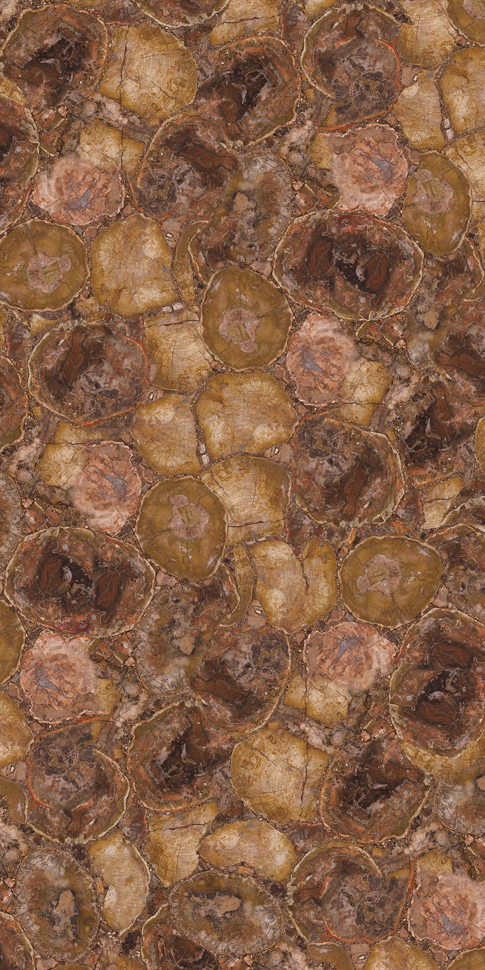 GEM-401 木化石 Petrified Wood（Round Texture)