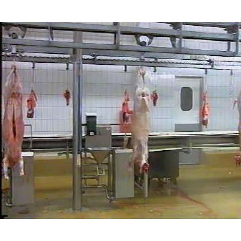 Abattoir Equipment- Carcass Processing Conveyor