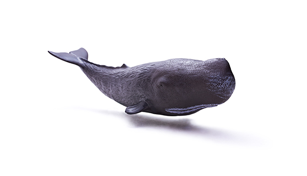 海洋动物玩具-抹香鲸