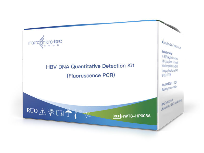 HWTS-HP008A HBV DNA Quantitative Detection Kit (Fluorescence PCR)