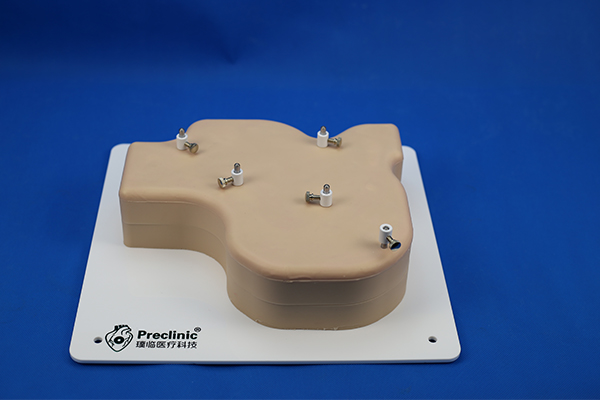 PLXH1002Training Model for Gastrointestinal Endoscopy Intervention(lesion replacement block)