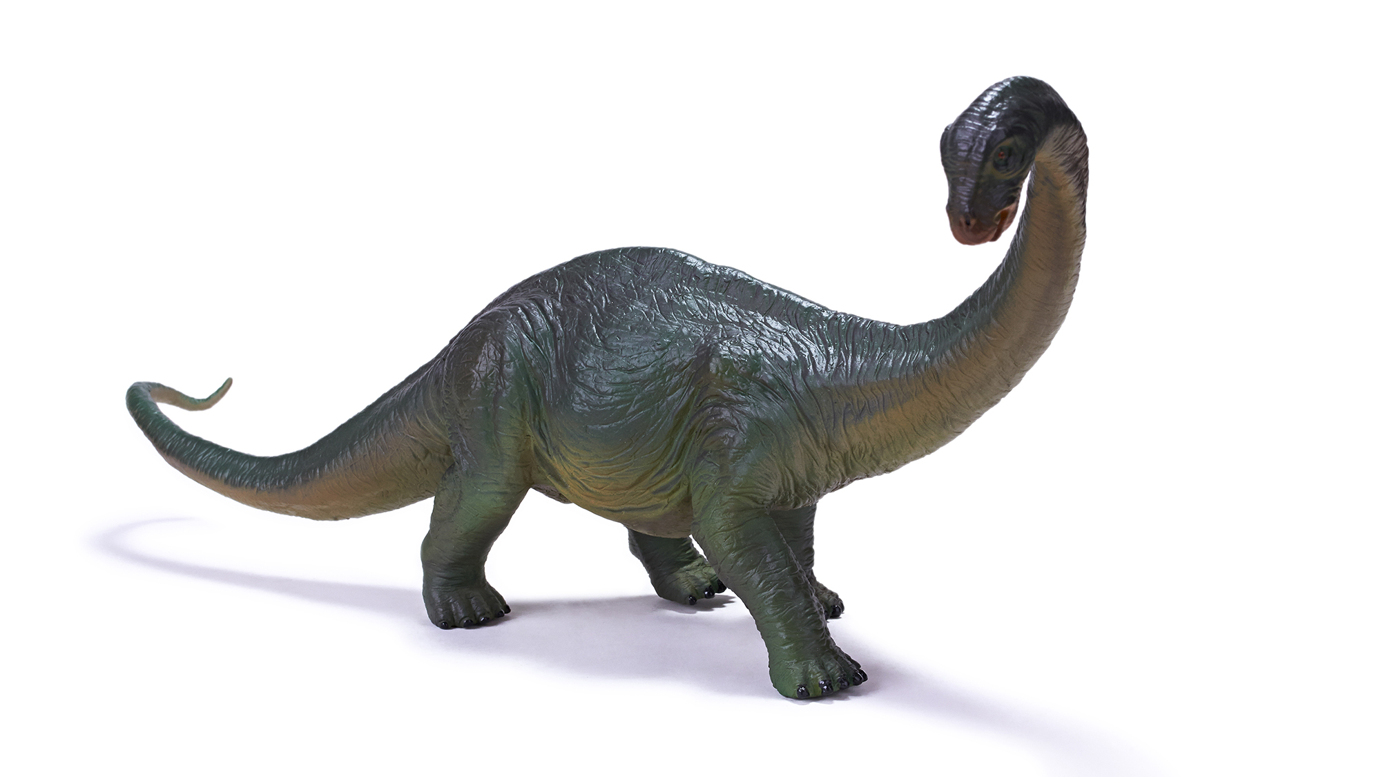 Apatosaurus toy model - Jurassic world dinosaur toy