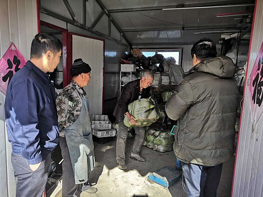天津安达集团奔赴宁河区助力受灾群众抢收义购大棚蔬菜