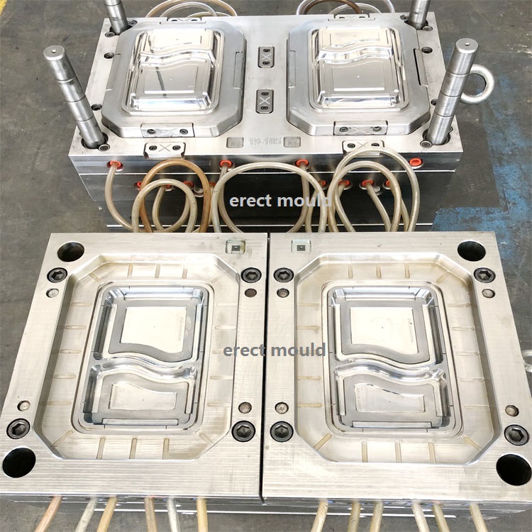 compartment cell food container moulds